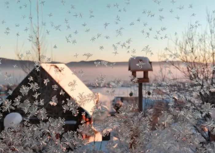 Pod Lasem Prázdninový dům