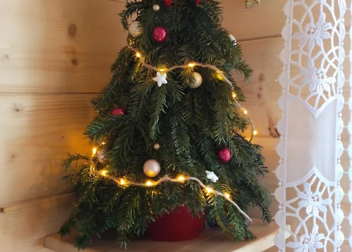 Prázdninový dům Pod Lasem Lipowa